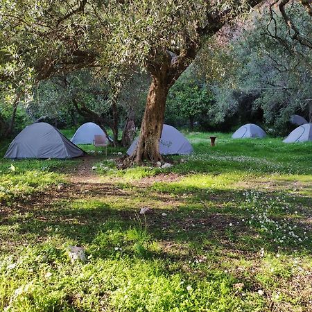 Gjipe Eco Campground Vuno Buitenkant foto